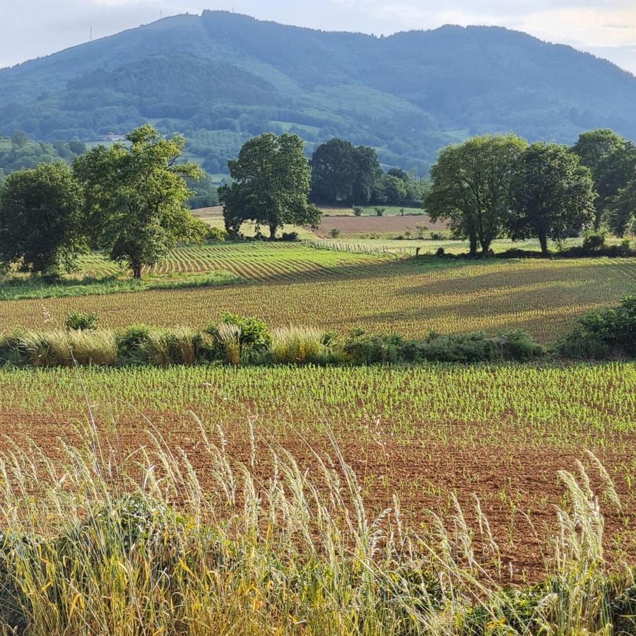 La Figal De Xugabolos, Salas Salas (Asturias)